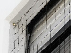 Kuş Kontrol uygulamaları StealthNet1 300x225